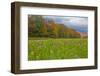 USA, New Hampshire, White Mountains in background with meridian planted with flowers-Sylvia Gulin-Framed Photographic Print