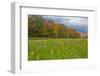 USA, New Hampshire, White Mountains in background with meridian planted with flowers-Sylvia Gulin-Framed Photographic Print