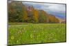 USA, New Hampshire, White Mountains in background with meridian planted with flowers-Sylvia Gulin-Mounted Photographic Print