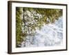 USA, New Hampshire, White Mountains, Reflections abstract-Ann Collins-Framed Photographic Print