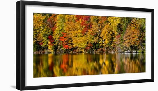 USA, New Hampshire, White Mountains, Reflections on Russell Pond-Ann Collins-Framed Photographic Print