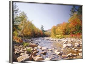 USA, New Hampshire, White Mountains, Swift River, Landscape, Autumn-Thonig-Framed Photographic Print