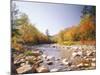 USA, New Hampshire, White Mountains, Swift River, Landscape, Autumn-Thonig-Mounted Photographic Print