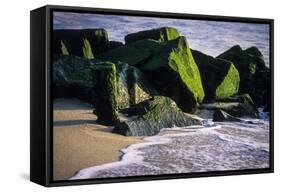 USA, New Jersey, Bay Head-Alison Jones-Framed Stretched Canvas