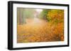 USA, New Jersey, Cape May. Leaf-covered road through autumn forest.-Jaynes Gallery-Framed Photographic Print