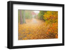 USA, New Jersey, Cape May. Leaf-covered road through autumn forest.-Jaynes Gallery-Framed Photographic Print