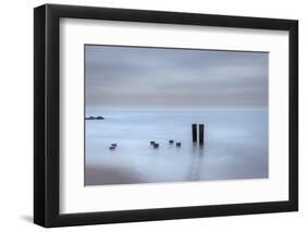 USA, New Jersey, Cape May National Seashore. Beach pilings on stormy sunrise.-Jaynes Gallery-Framed Photographic Print