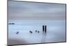 USA, New Jersey, Cape May National Seashore. Beach pilings on stormy sunrise.-Jaynes Gallery-Mounted Photographic Print