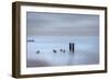 USA, New Jersey, Cape May National Seashore. Beach pilings on stormy sunrise.-Jaynes Gallery-Framed Photographic Print