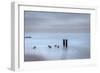 USA, New Jersey, Cape May National Seashore. Beach pilings on stormy sunrise.-Jaynes Gallery-Framed Photographic Print