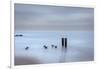 USA, New Jersey, Cape May National Seashore. Beach pilings on stormy sunrise.-Jaynes Gallery-Framed Photographic Print