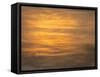 USA, New Jersey, Cape May National Seashore. Ocean reflections at sunset.-Jaynes Gallery-Framed Stretched Canvas