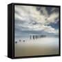 USA, New Jersey, Cape May National Seashore. Pier posts on beach.-Jaynes Gallery-Framed Stretched Canvas