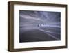 USA, New Jersey, Cape May National Seashore. Pier stumps on shore at sunrise.-Jaynes Gallery-Framed Photographic Print