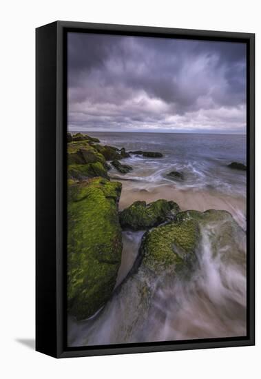 USA, New Jersey, Cape May National Seashore. Storm waves and moss-covered rocks.-Jaynes Gallery-Framed Stretched Canvas