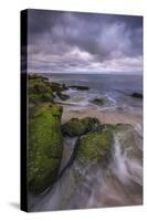 USA, New Jersey, Cape May National Seashore. Storm waves and moss-covered rocks.-Jaynes Gallery-Stretched Canvas