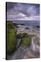 USA, New Jersey, Cape May National Seashore. Storm waves and moss-covered rocks.-Jaynes Gallery-Stretched Canvas