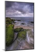USA, New Jersey, Cape May National Seashore. Storm waves and moss-covered rocks.-Jaynes Gallery-Mounted Photographic Print