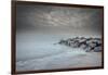 USA, New Jersey, Cape May National Seashore. Stormy beach.-Jaynes Gallery-Framed Photographic Print