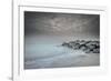 USA, New Jersey, Cape May National Seashore. Stormy beach.-Jaynes Gallery-Framed Photographic Print