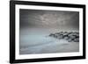 USA, New Jersey, Cape May National Seashore. Stormy beach.-Jaynes Gallery-Framed Photographic Print