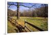 USA, New Jersey, Hunterdon, Mountainville, Sheep (Ovis Ammon Aires)-Alison Jones-Framed Photographic Print