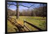 USA, New Jersey, Hunterdon, Mountainville, Sheep (Ovis Ammon Aires)-Alison Jones-Framed Photographic Print