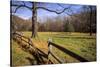 USA, New Jersey, Hunterdon, Mountainville, Sheep (Ovis Ammon Aires)-Alison Jones-Stretched Canvas