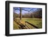 USA, New Jersey, Hunterdon, Mountainville, Sheep (Ovis Ammon Aires)-Alison Jones-Framed Photographic Print