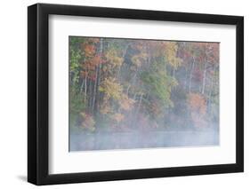 USA, New Jersey, Pine Barrens National Preserve. Foggy forest and lake landscape.-Jaynes Gallery-Framed Photographic Print