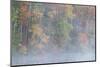 USA, New Jersey, Pine Barrens National Preserve. Foggy forest and lake landscape.-Jaynes Gallery-Mounted Photographic Print