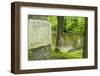 USA, New Jersey, Upper Raritan River-Alison Jones-Framed Photographic Print