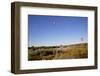 USA, New Mexico, Albuquerque. Hot air balloon-Connie Bransilver-Framed Photographic Print