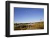 USA, New Mexico, Albuquerque. Hot air balloon-Connie Bransilver-Framed Photographic Print