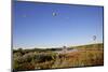 USA, New Mexico, Albuquerque. Hot air balloon-Connie Bransilver-Mounted Photographic Print