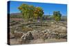 USA, New Mexico, Aztec Ruins National Monument, West Ruin, Small Kivas-Bernard Friel-Stretched Canvas