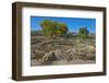 USA, New Mexico, Aztec Ruins National Monument, West Ruin, Small Kivas-Bernard Friel-Framed Photographic Print