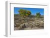 USA, New Mexico, Aztec Ruins National Monument, West Ruin, Small Kivas-Bernard Friel-Framed Photographic Print