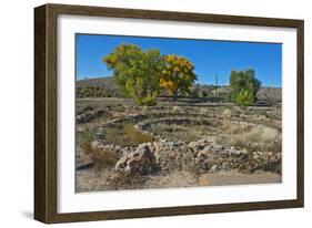 USA, New Mexico, Aztec Ruins National Monument, West Ruin, Small Kivas-Bernard Friel-Framed Photographic Print
