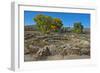 USA, New Mexico, Aztec Ruins National Monument, West Ruin, Small Kivas-Bernard Friel-Framed Photographic Print