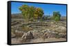 USA, New Mexico, Aztec Ruins National Monument, West Ruin, Small Kivas-Bernard Friel-Framed Stretched Canvas