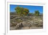 USA, New Mexico, Aztec Ruins National Monument, West Ruin, Small Kivas-Bernard Friel-Framed Premium Photographic Print