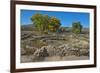 USA, New Mexico, Aztec Ruins National Monument, West Ruin, Small Kivas-Bernard Friel-Framed Premium Photographic Print