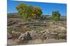 USA, New Mexico, Aztec Ruins National Monument, West Ruin, Small Kivas-Bernard Friel-Mounted Premium Photographic Print