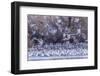 USA, New Mexico, Bernardo Wildlife Management Area. Snow geese and sandhill cranes at sunset.-Jaynes Gallery-Framed Photographic Print