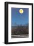 USA, New Mexico, Bosque Del Apache National Wildlife Refuge. Full moon rising and flying blackbirds-Jaynes Gallery-Framed Photographic Print