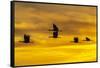 USA, New Mexico, Bosque Del Apache National Wildlife Refuge. Sandhill cranes in flight at sunrise.-Jaynes Gallery-Framed Stretched Canvas