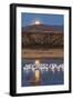 USA, New Mexico, Bosque Del Apache Nwr. Moonset over Snow Geese-Jaynes Gallery-Framed Photographic Print