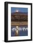 USA, New Mexico, Bosque Del Apache Nwr. Moonset over Snow Geese-Jaynes Gallery-Framed Photographic Print