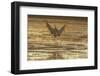 USA, New Mexico, Bosque del Apache. Sandhill crane landing at sunset.-Jaynes Gallery-Framed Photographic Print